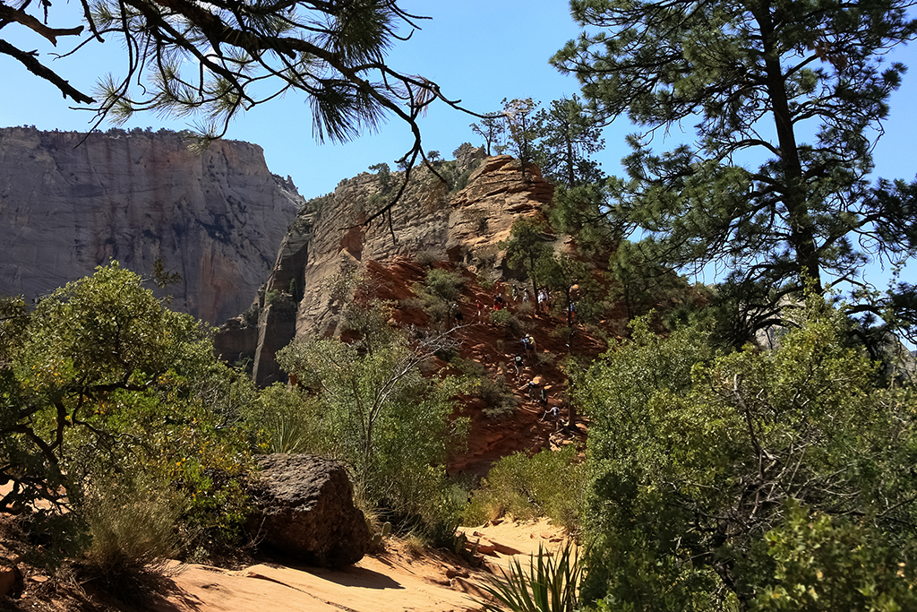 06-23 - 01.JPG - Zion National Park, AZ